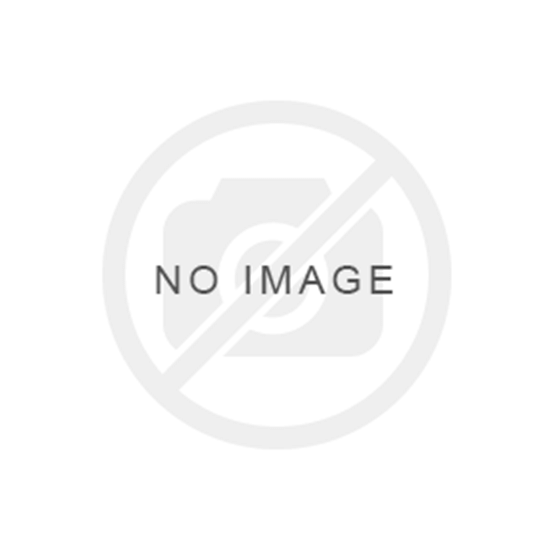 Picture of Premium Logo Setup
